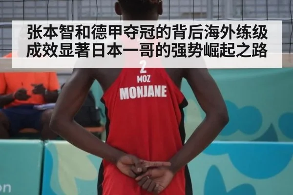 张本智和德甲夺冠的背后海外练级成效显著日本一哥的强势崛起之路