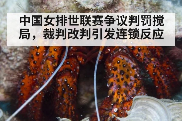中国女排世联赛争议判罚搅局，裁判改判引发连锁反应